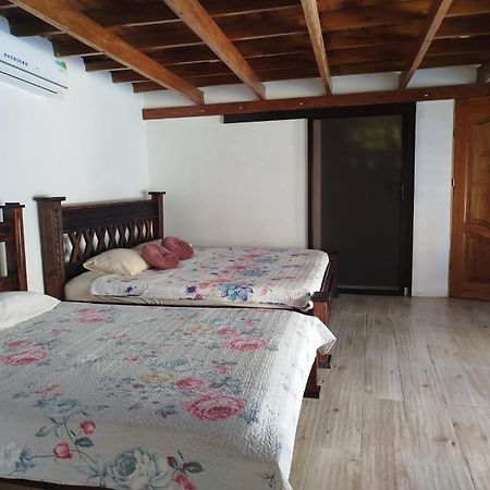 Hotel Liah'S Tortuguero Bagian luar foto